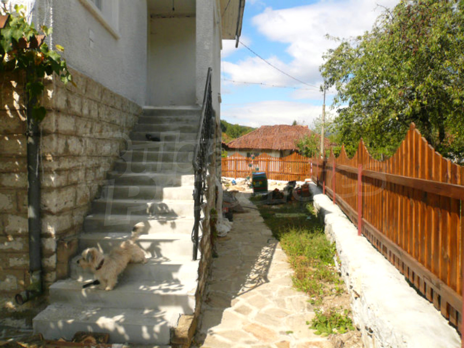 Gallery Picture 5
