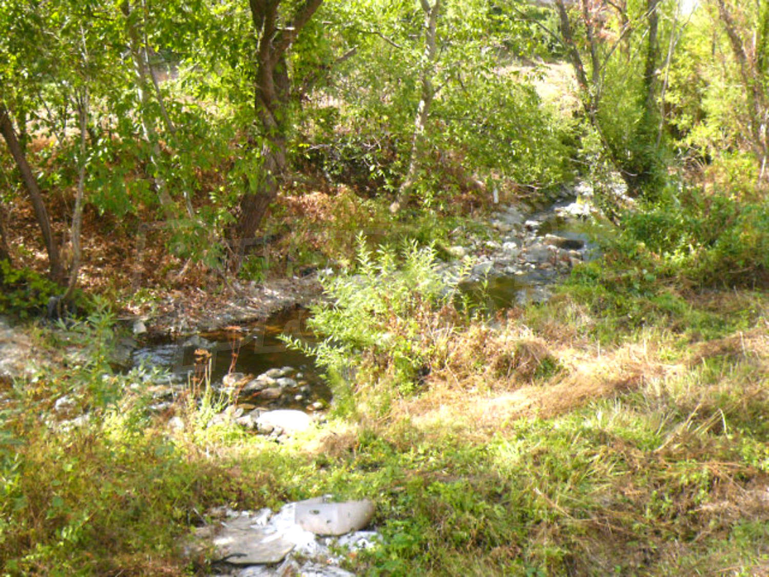 Gallery Picture 53