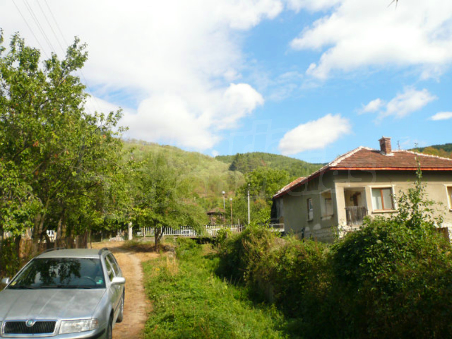Gallery Picture 60