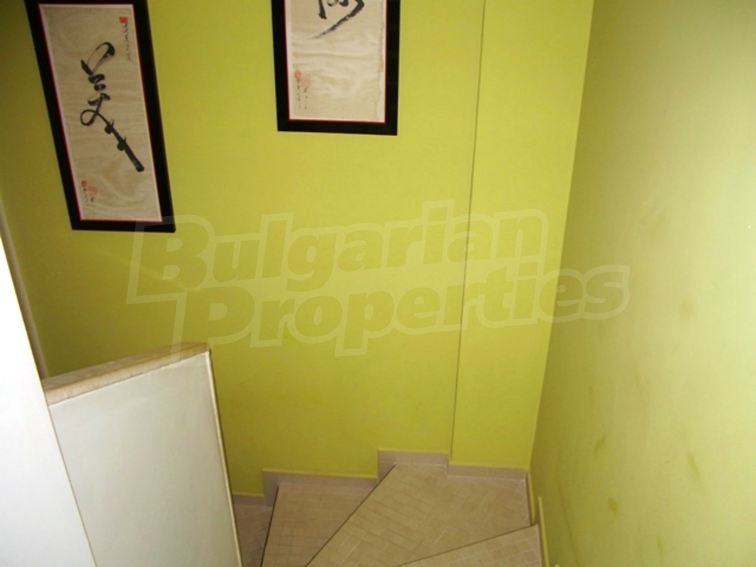 Gallery Picture 10