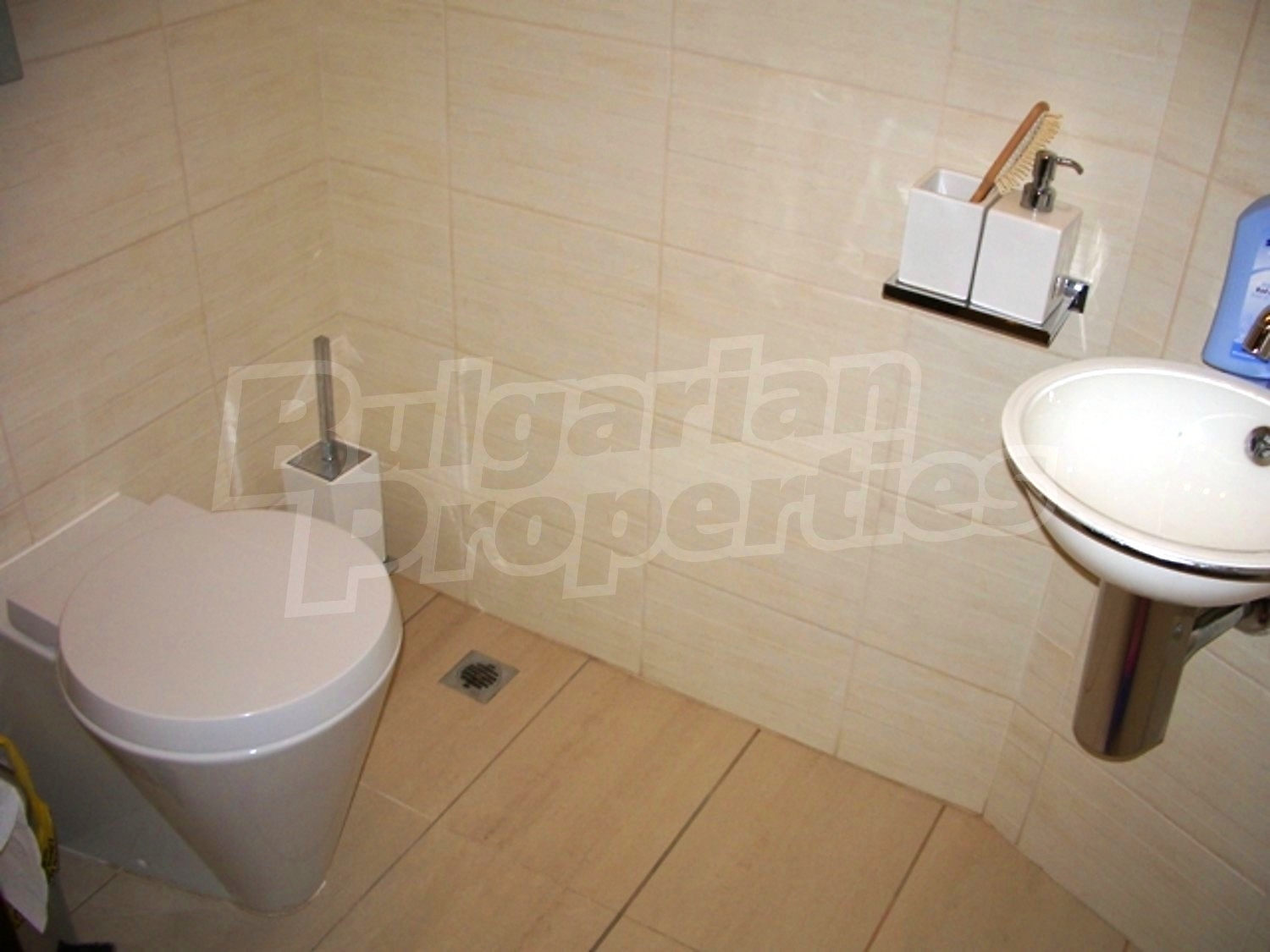 Gallery Picture 19