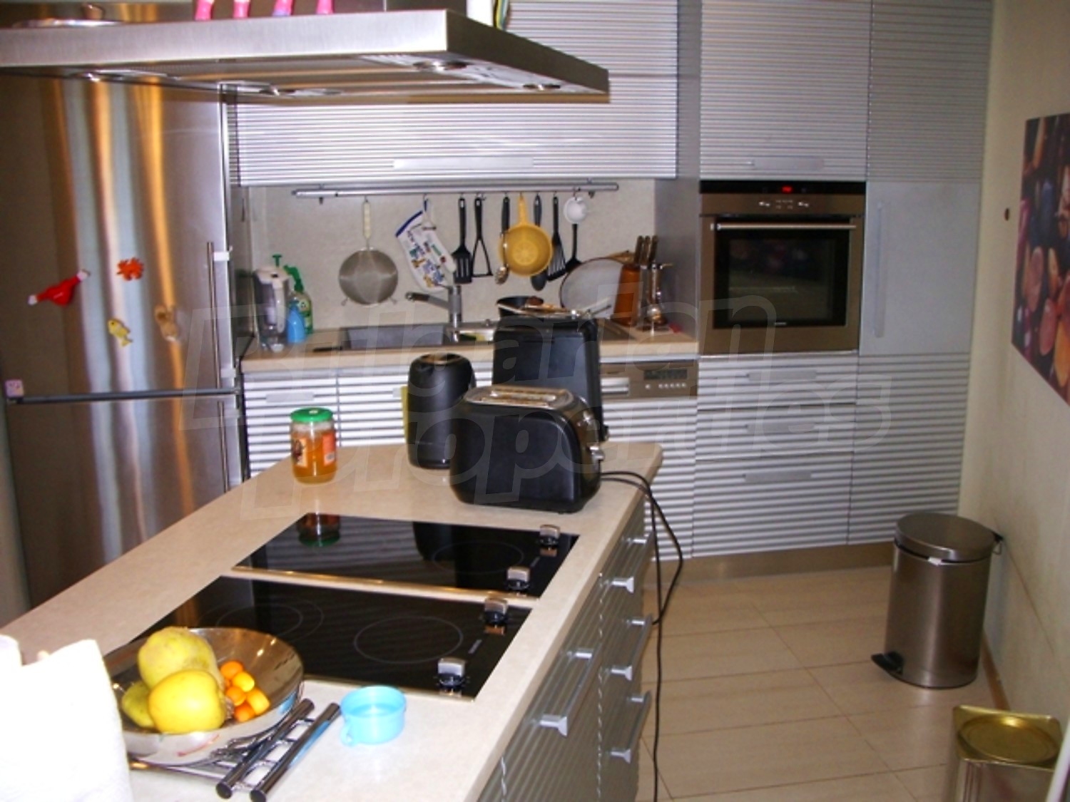 Gallery Picture 7