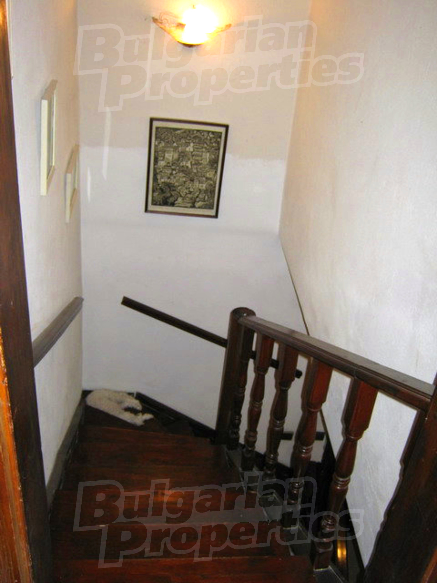 Gallery Picture 3