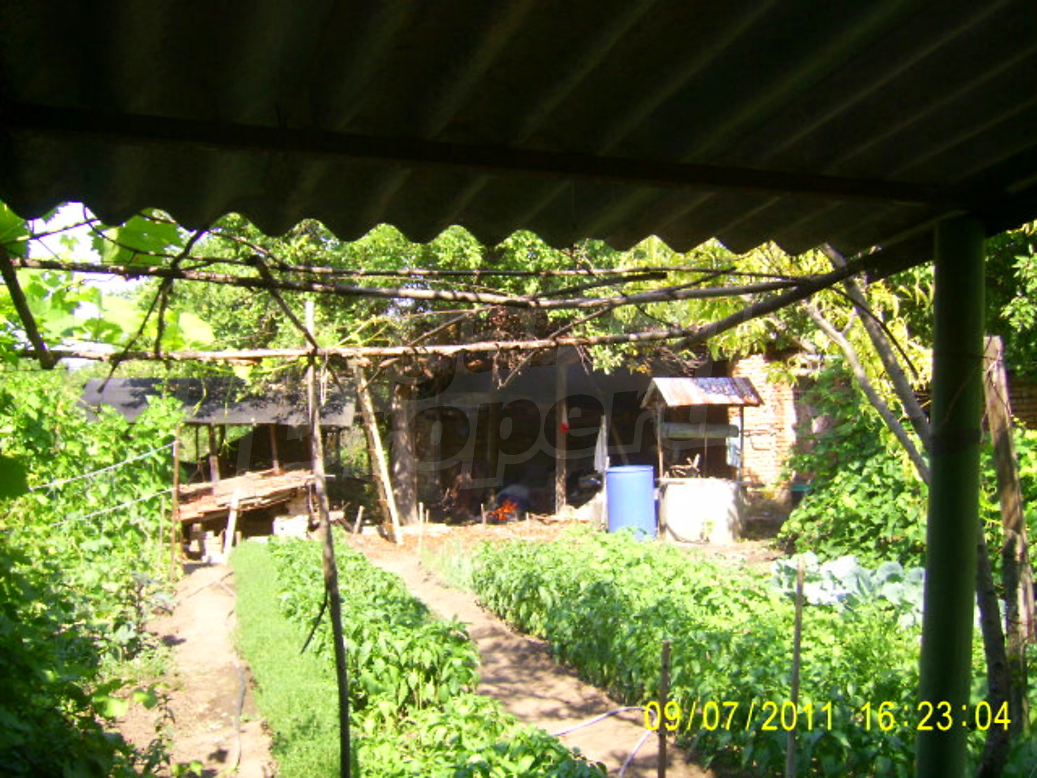 Gallery Picture 15
