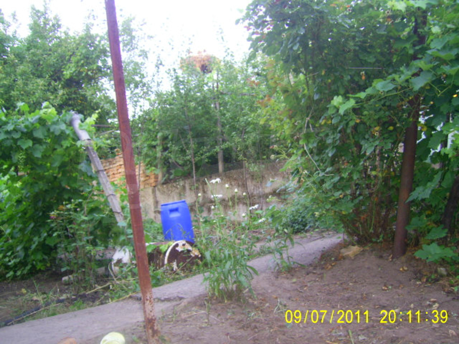 Gallery Picture 16