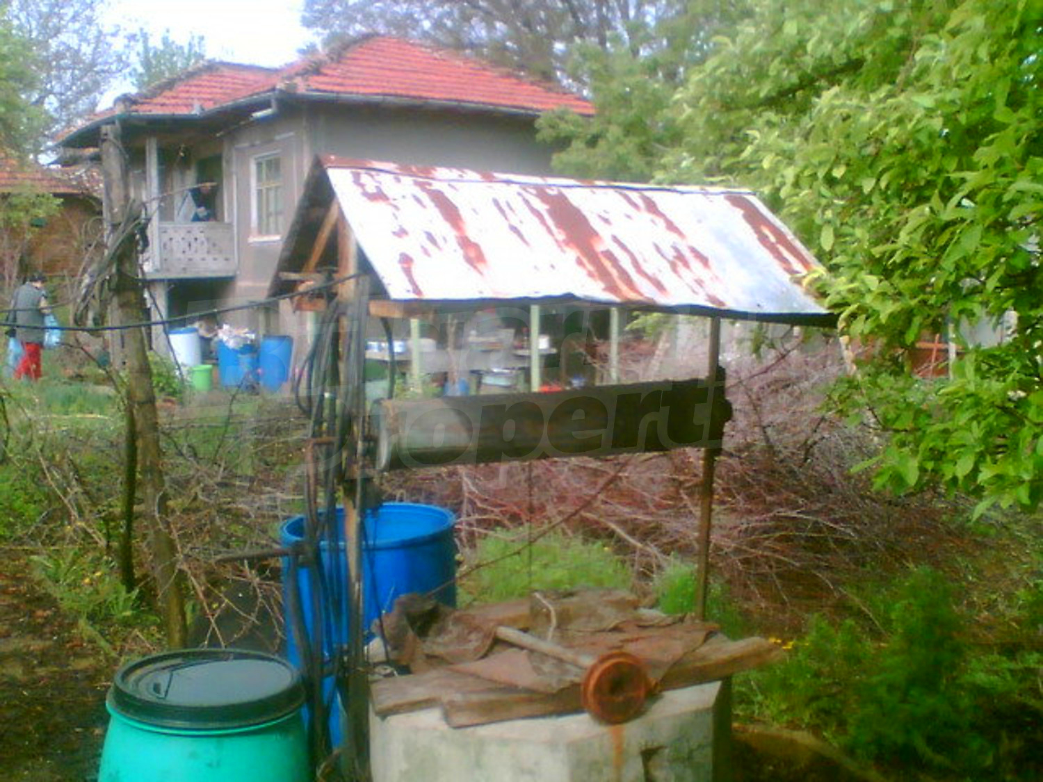Gallery Picture 17