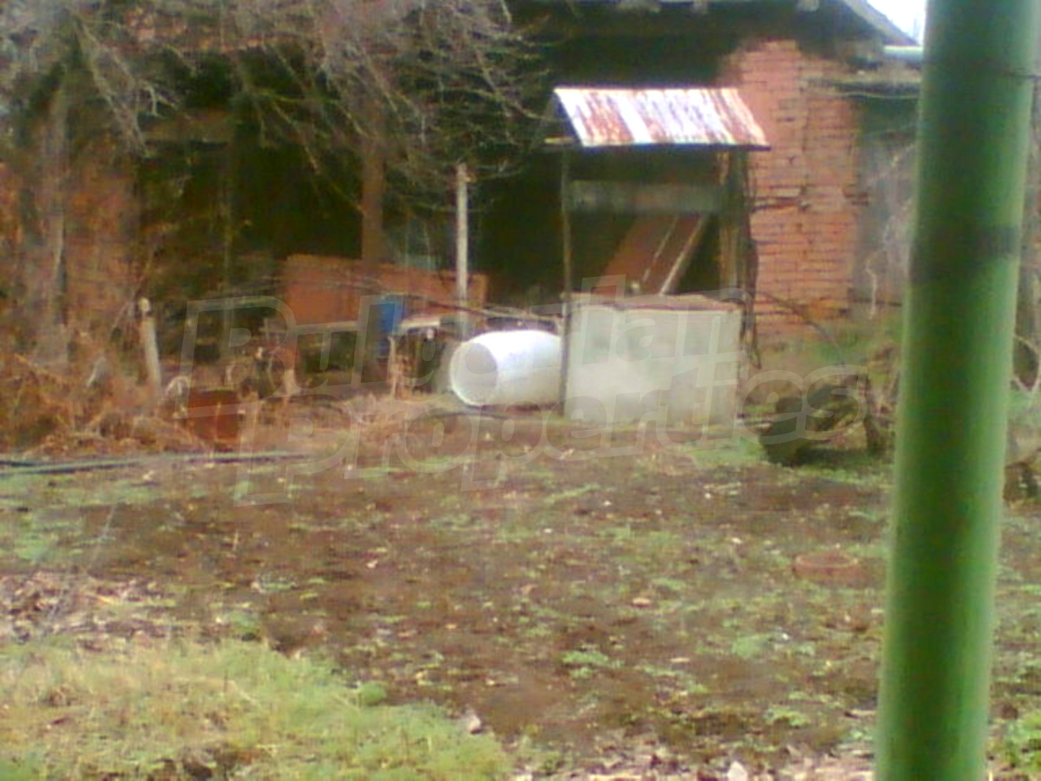 Gallery Picture 18