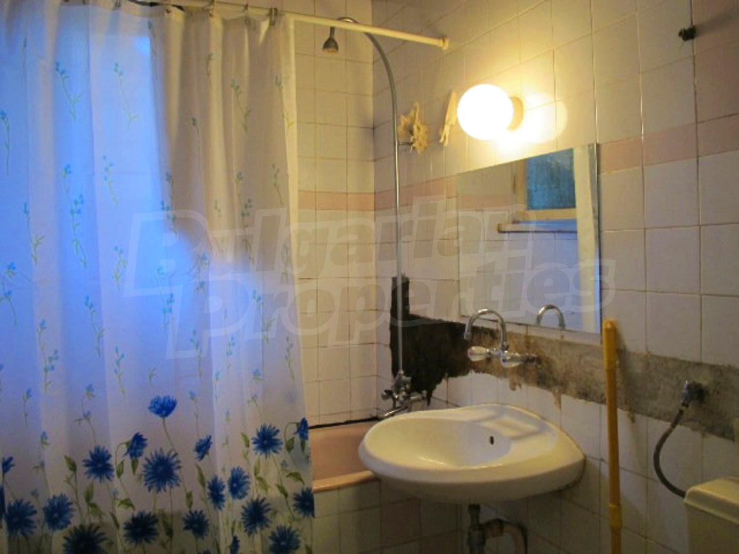 Gallery Picture 14