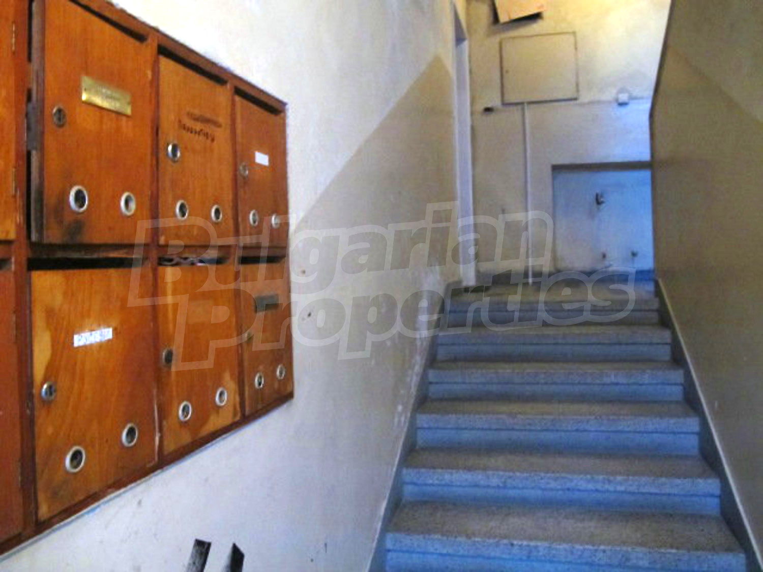 Gallery Picture 25