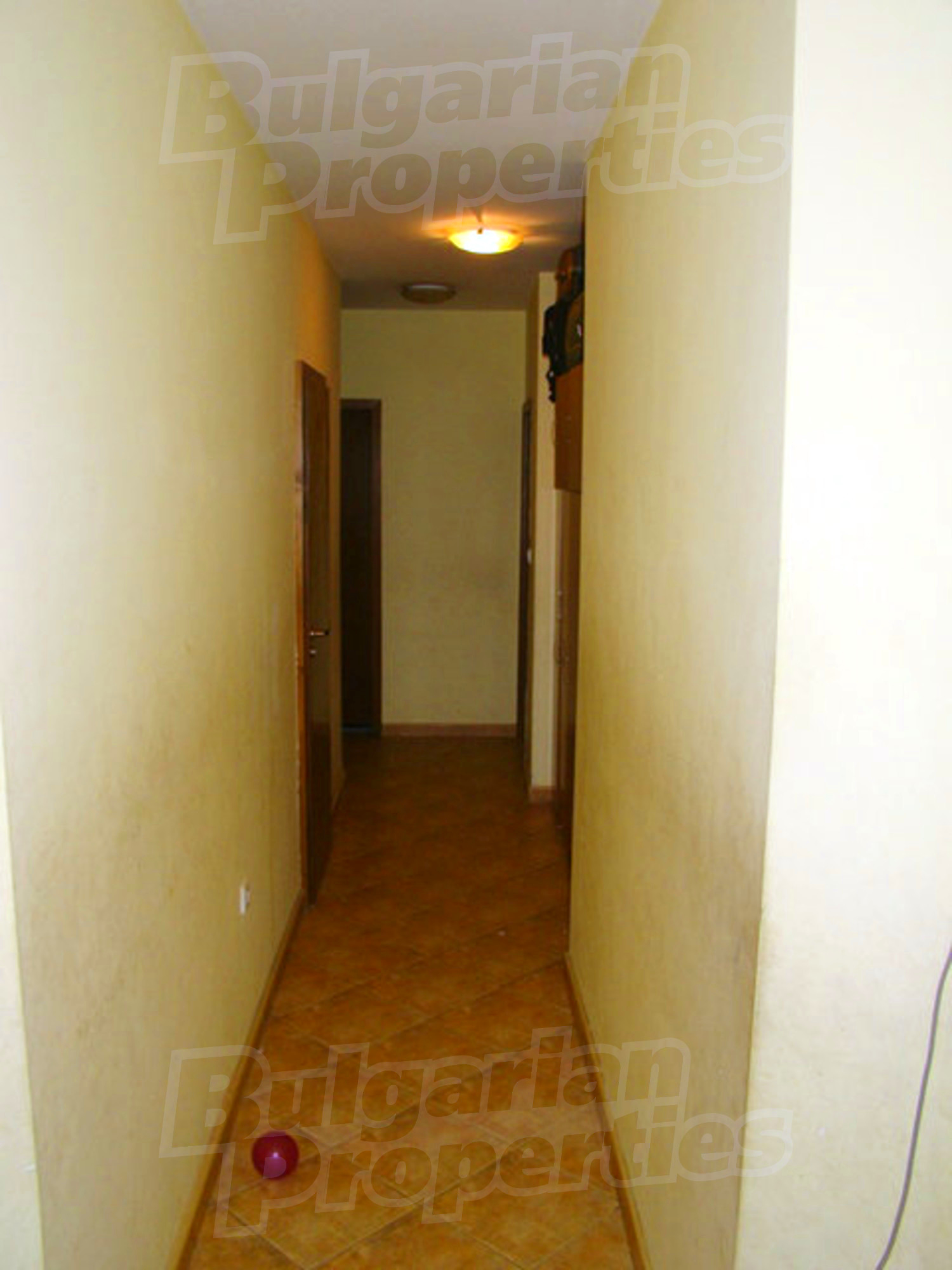 Gallery Picture 7
