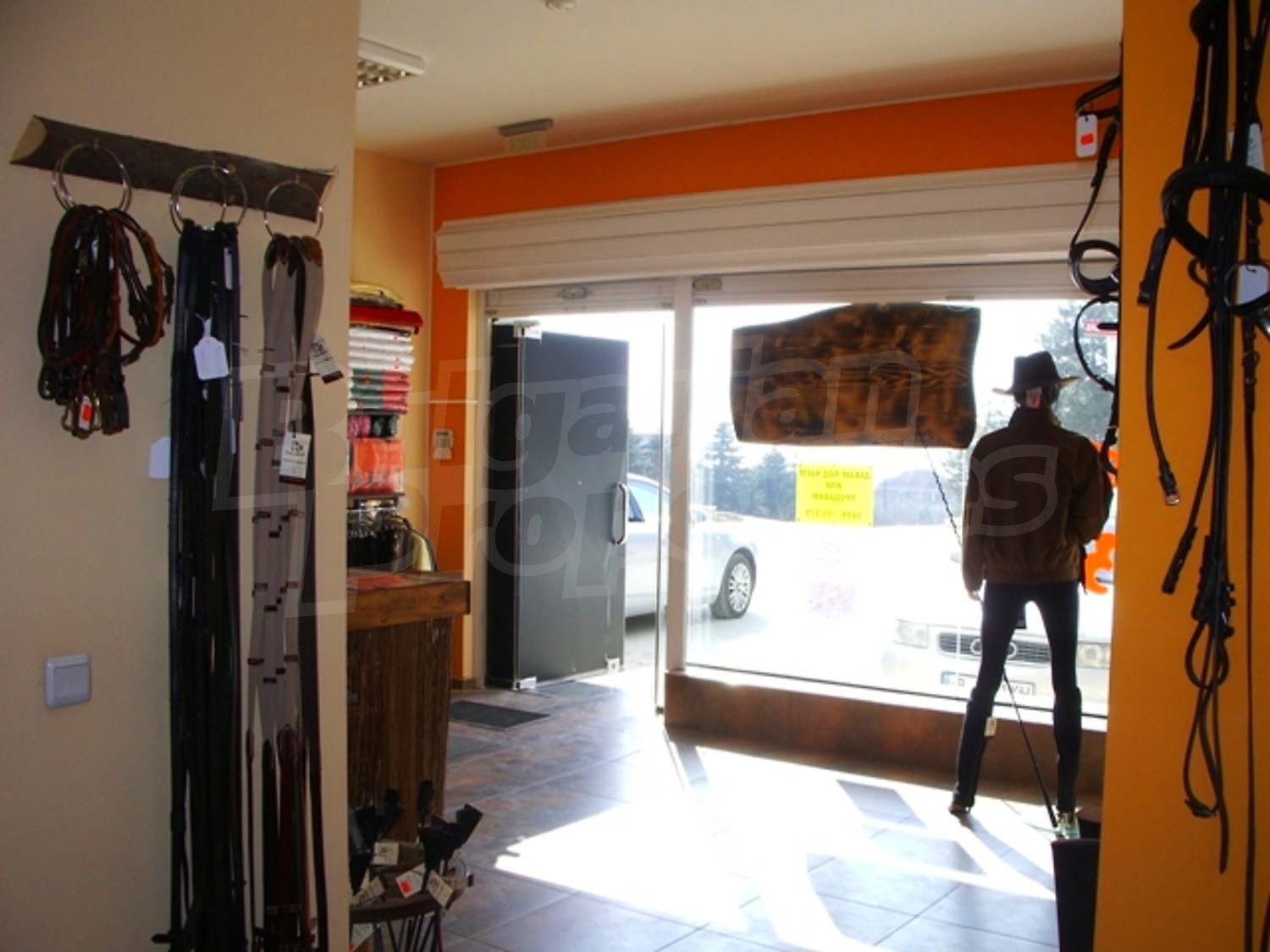 Gallery Picture 4
