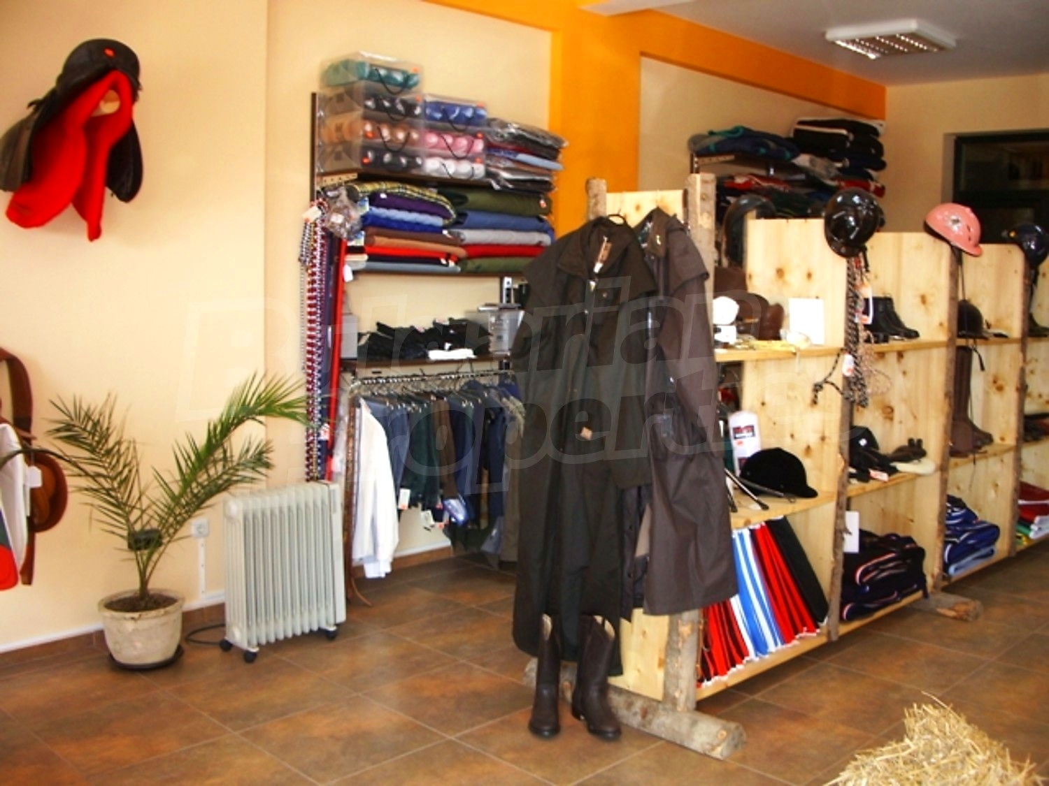 Gallery Picture 5