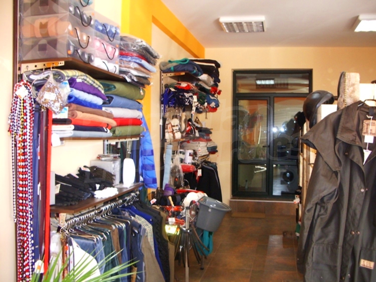 Gallery Picture 6