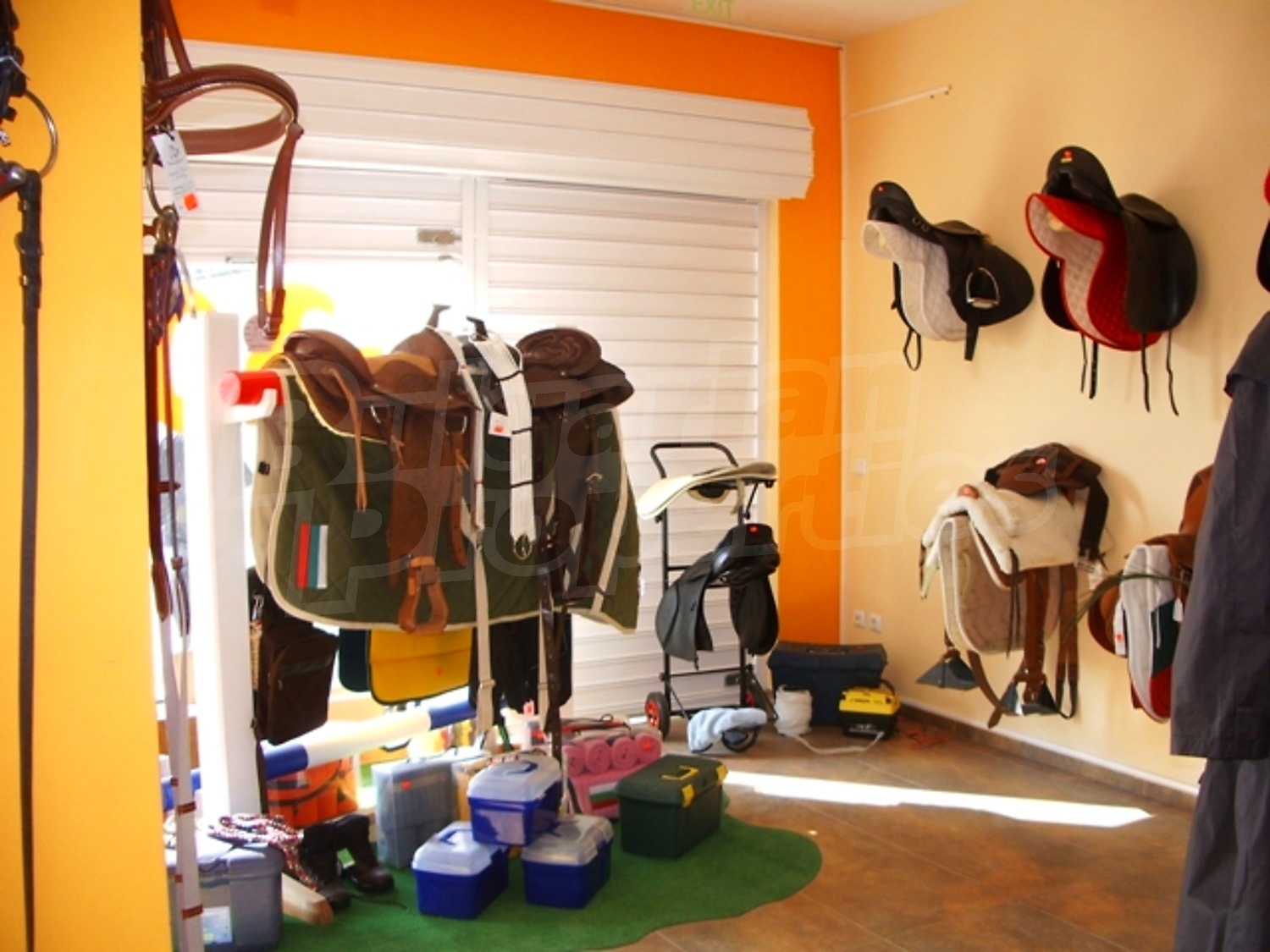 Gallery Picture 7