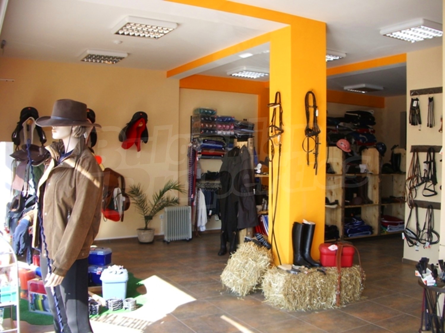 Gallery Picture 8