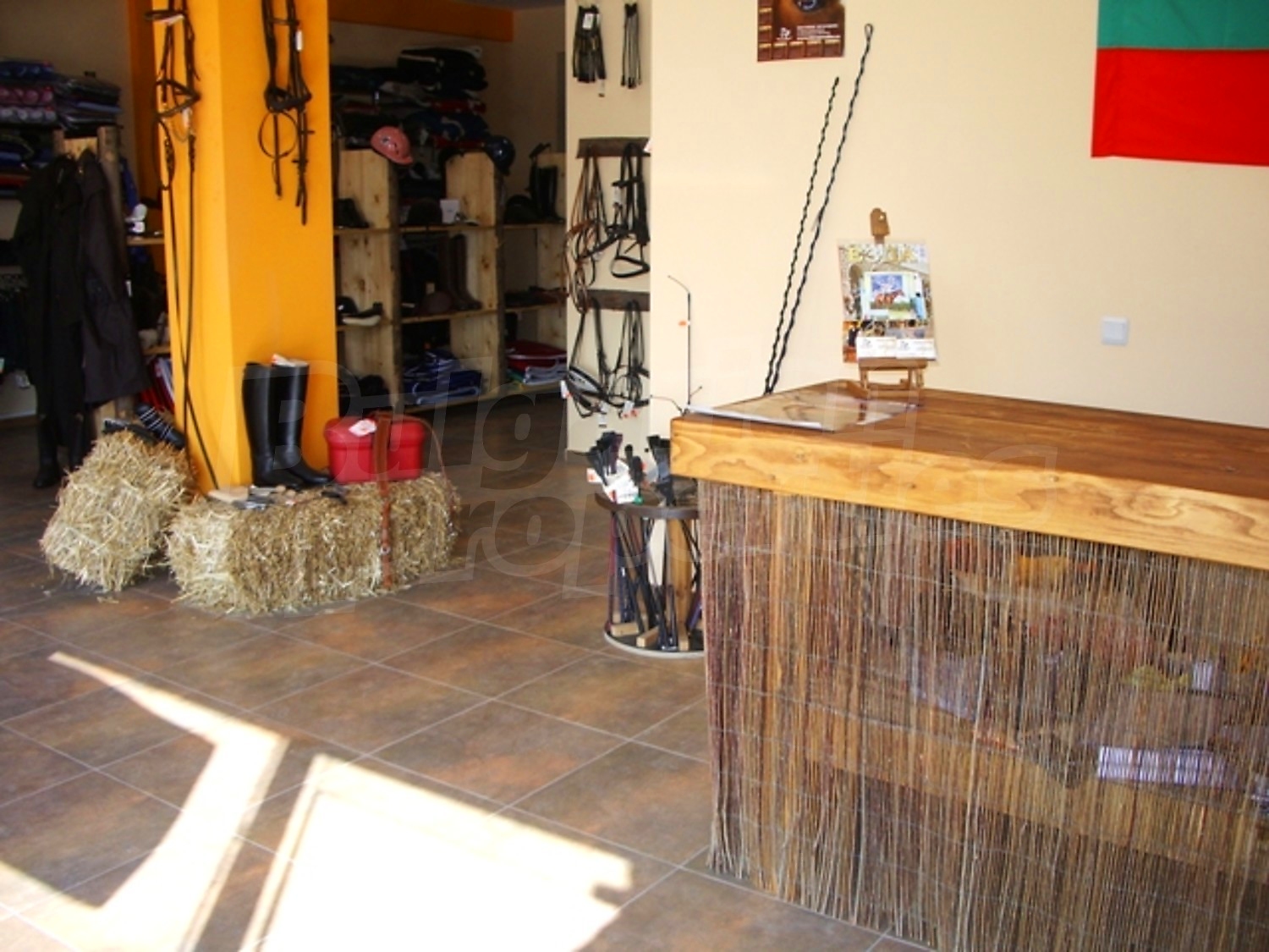 Gallery Picture 9