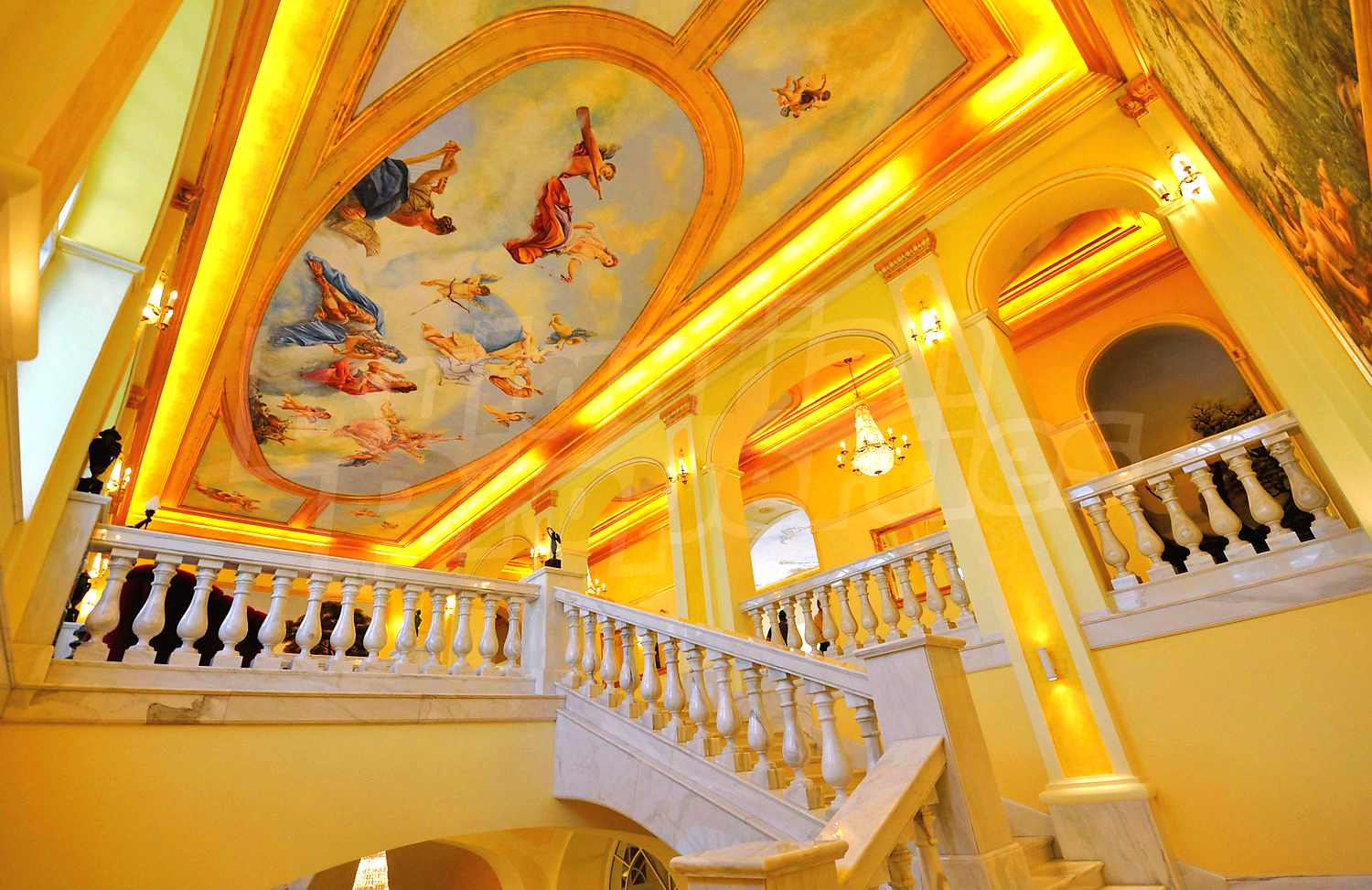 Gallery Picture 10