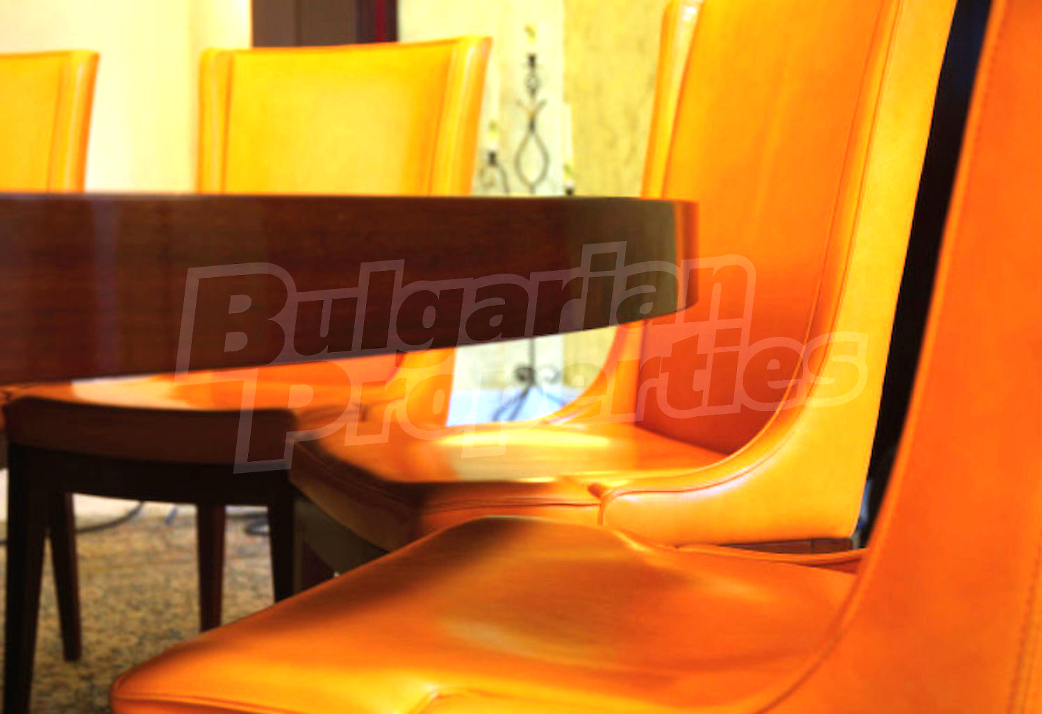 Gallery Picture 34