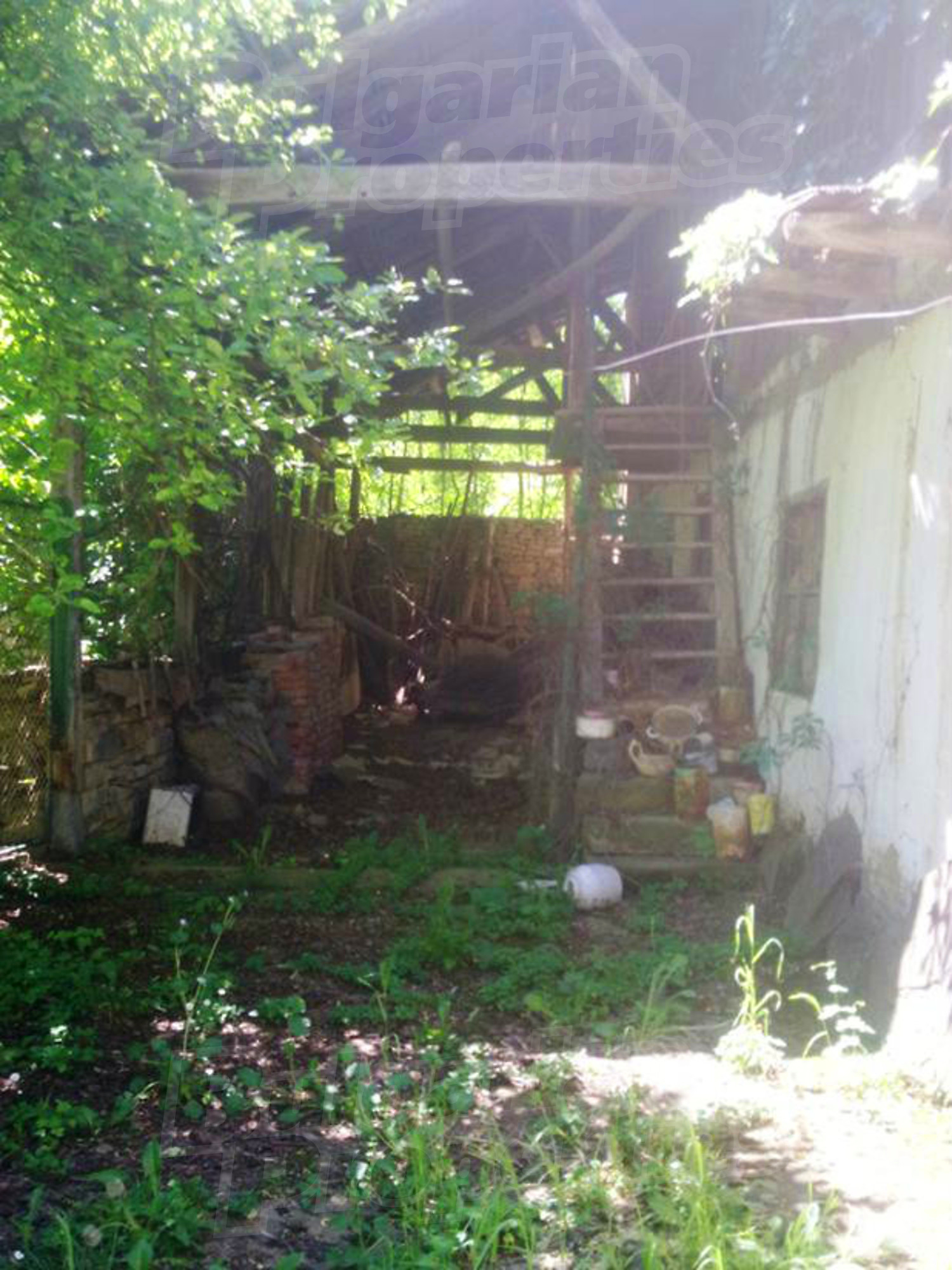 Gallery Picture 16