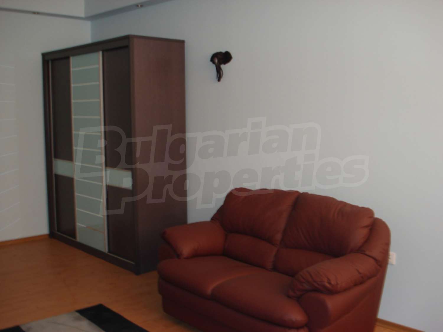 Gallery Picture 17