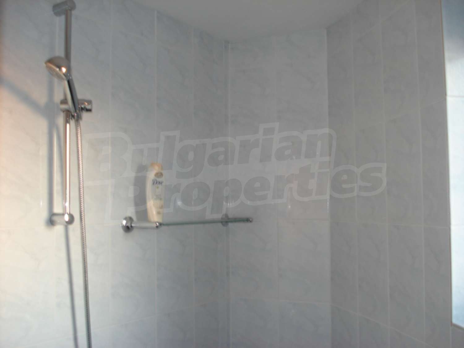 Gallery Picture 27