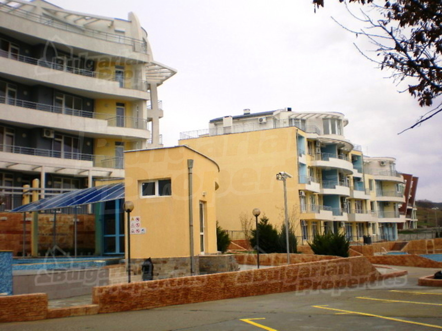 Gallery Picture 11