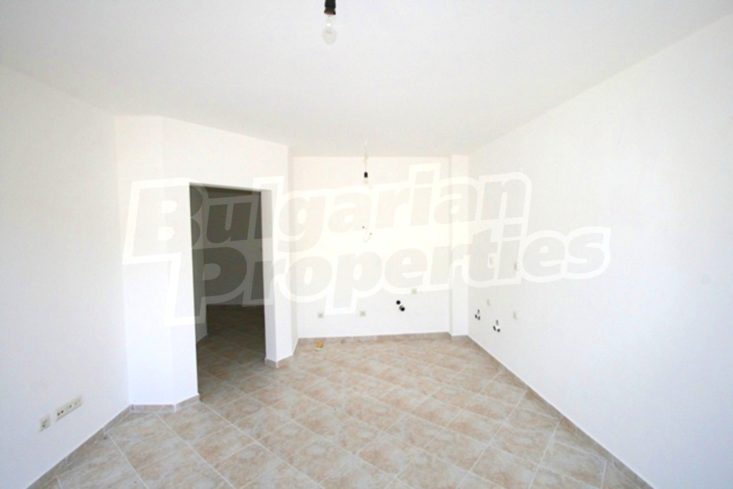 Gallery Picture 13