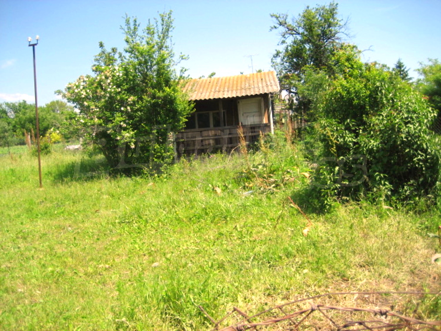 Gallery Picture 2