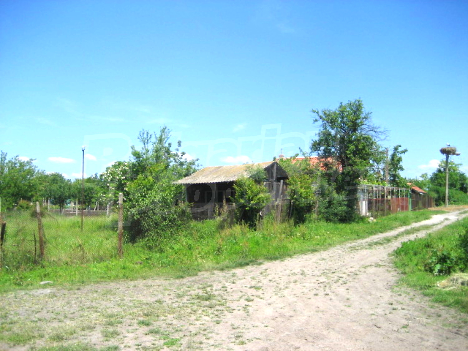 Gallery Picture 6