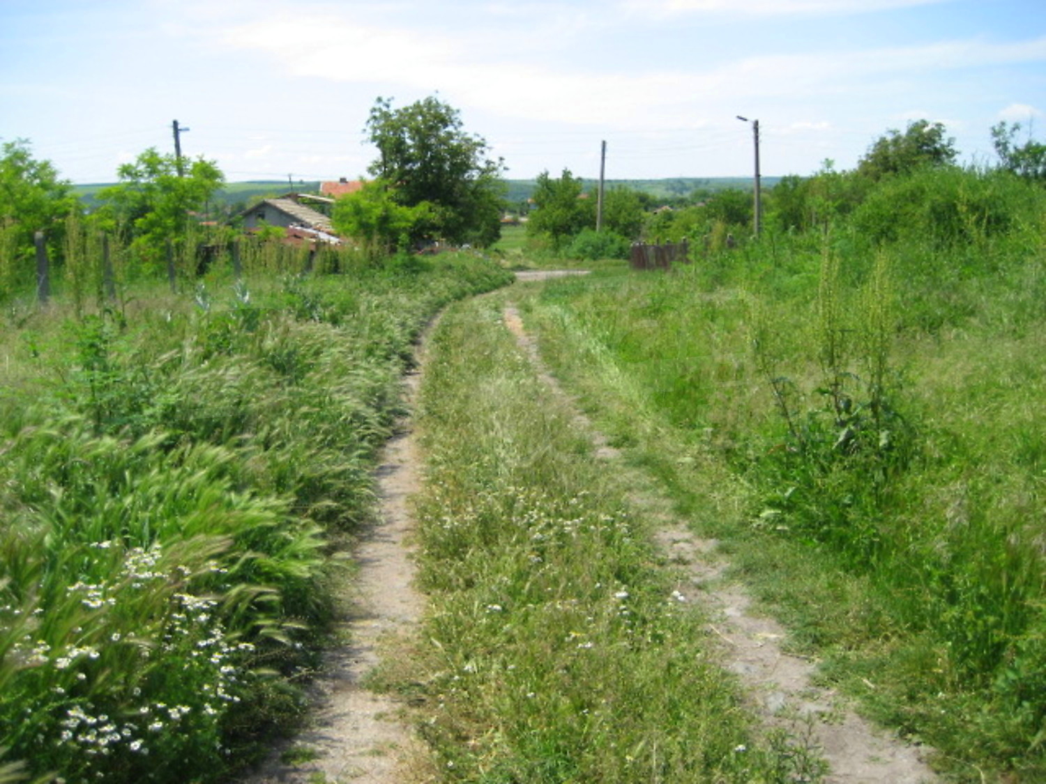 Gallery Picture 3