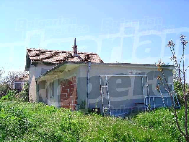 Gallery Picture 15