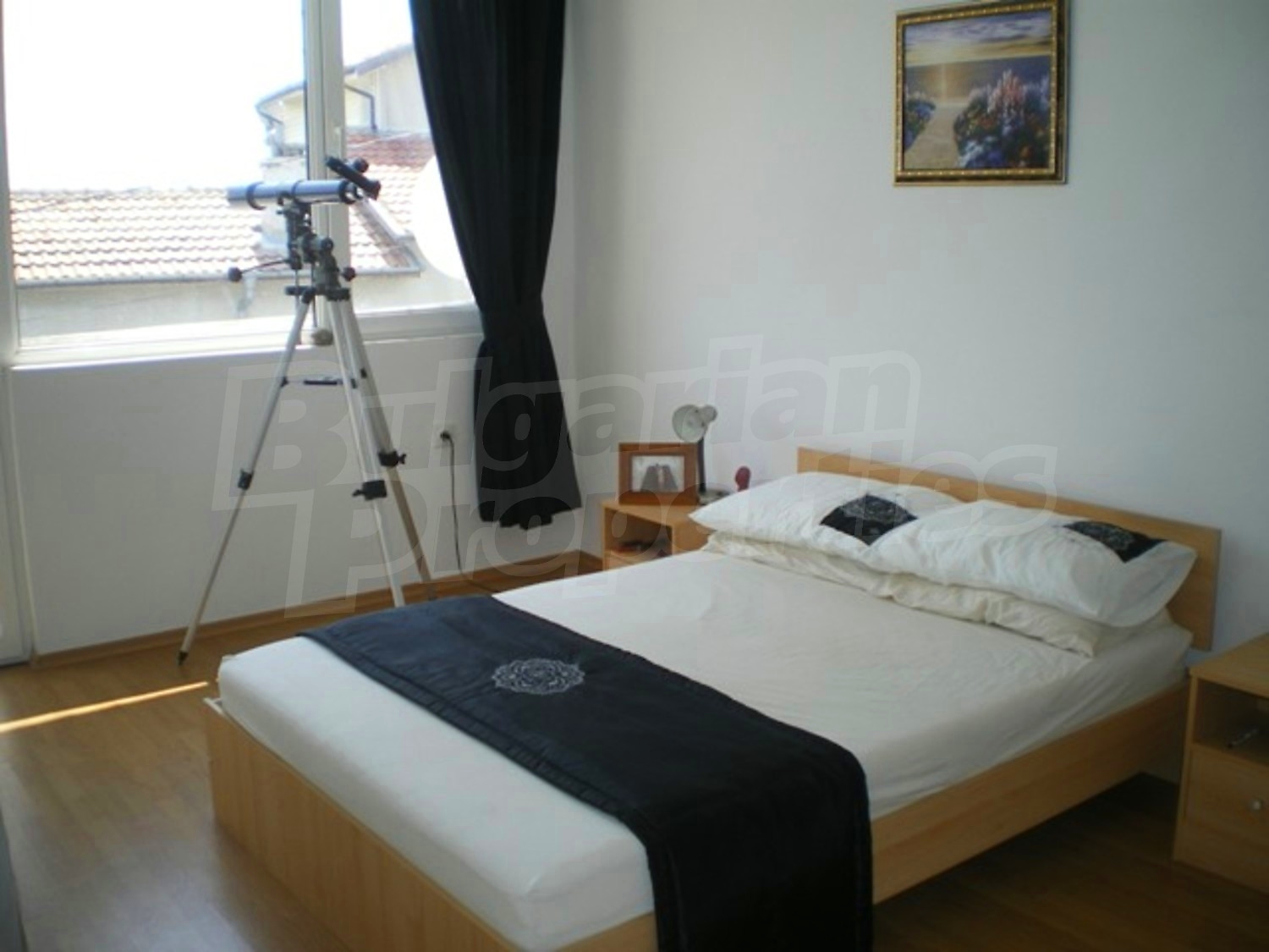 Gallery Picture 11