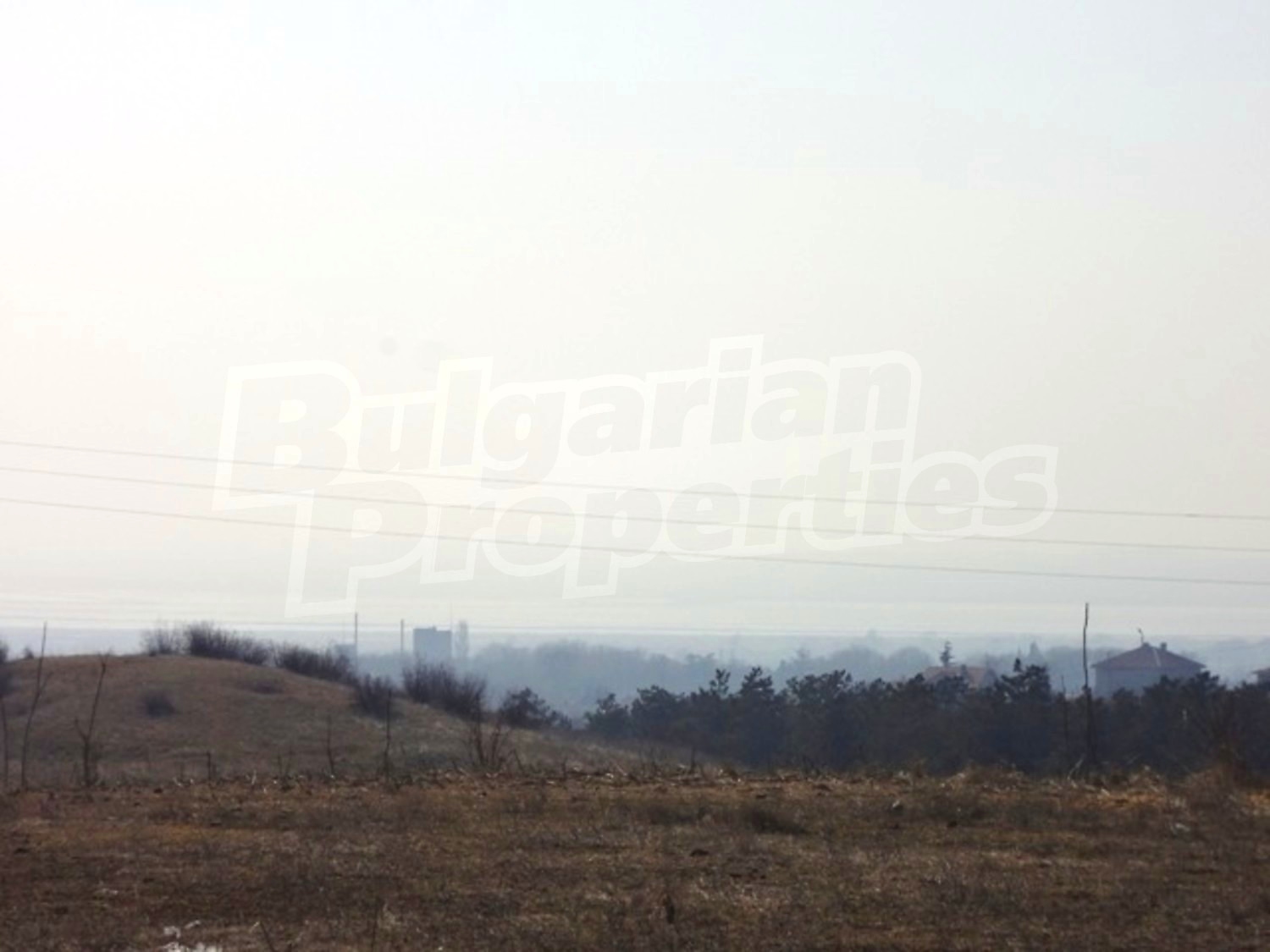 Gallery Picture 10
