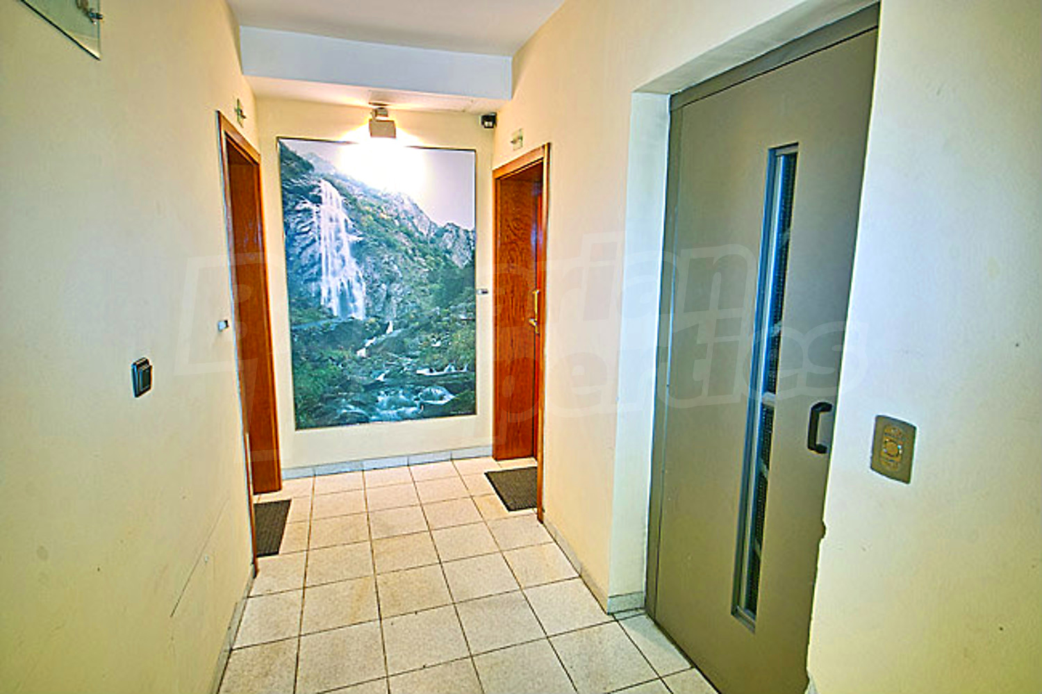 Gallery Picture 16