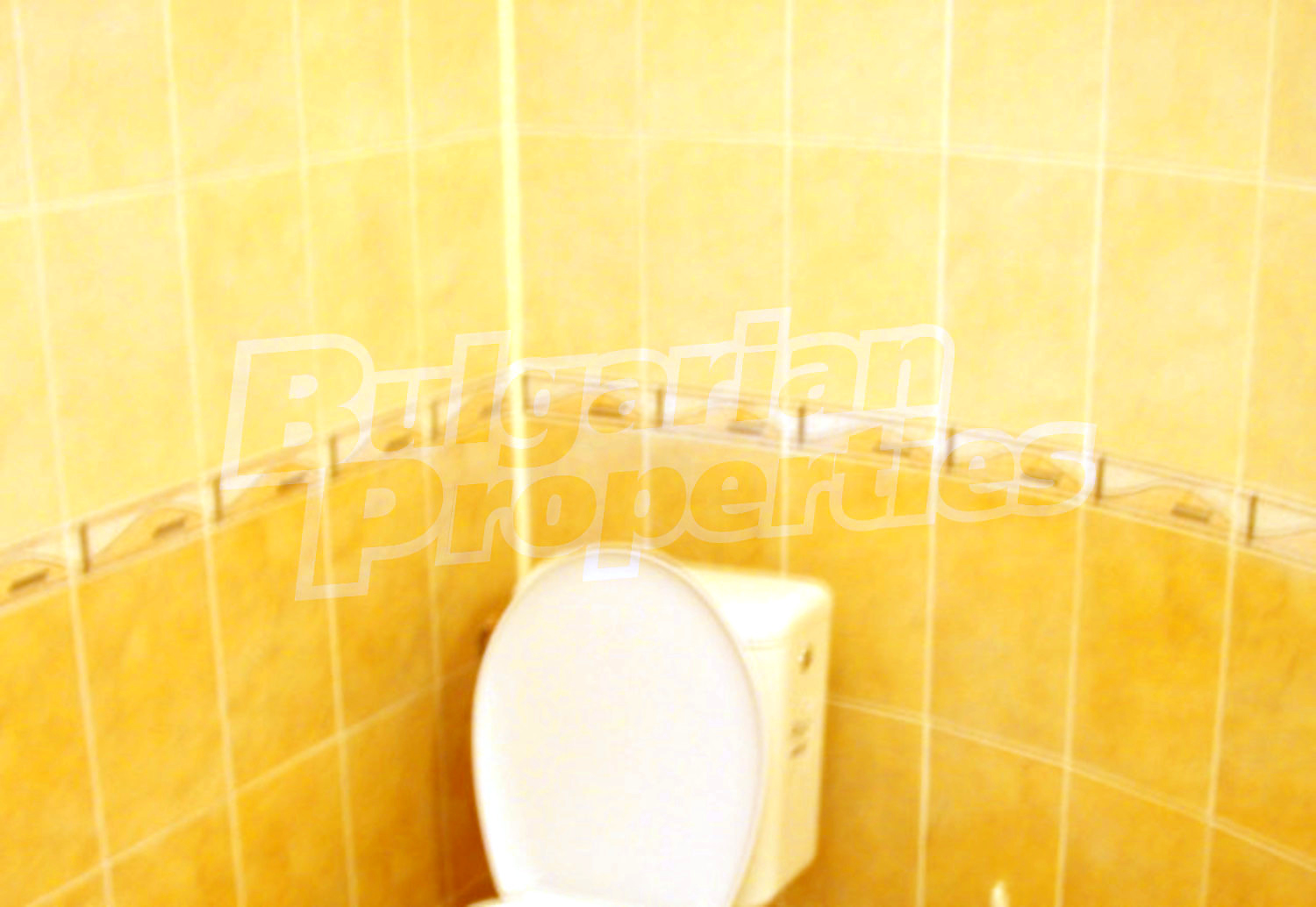 Gallery Picture 21