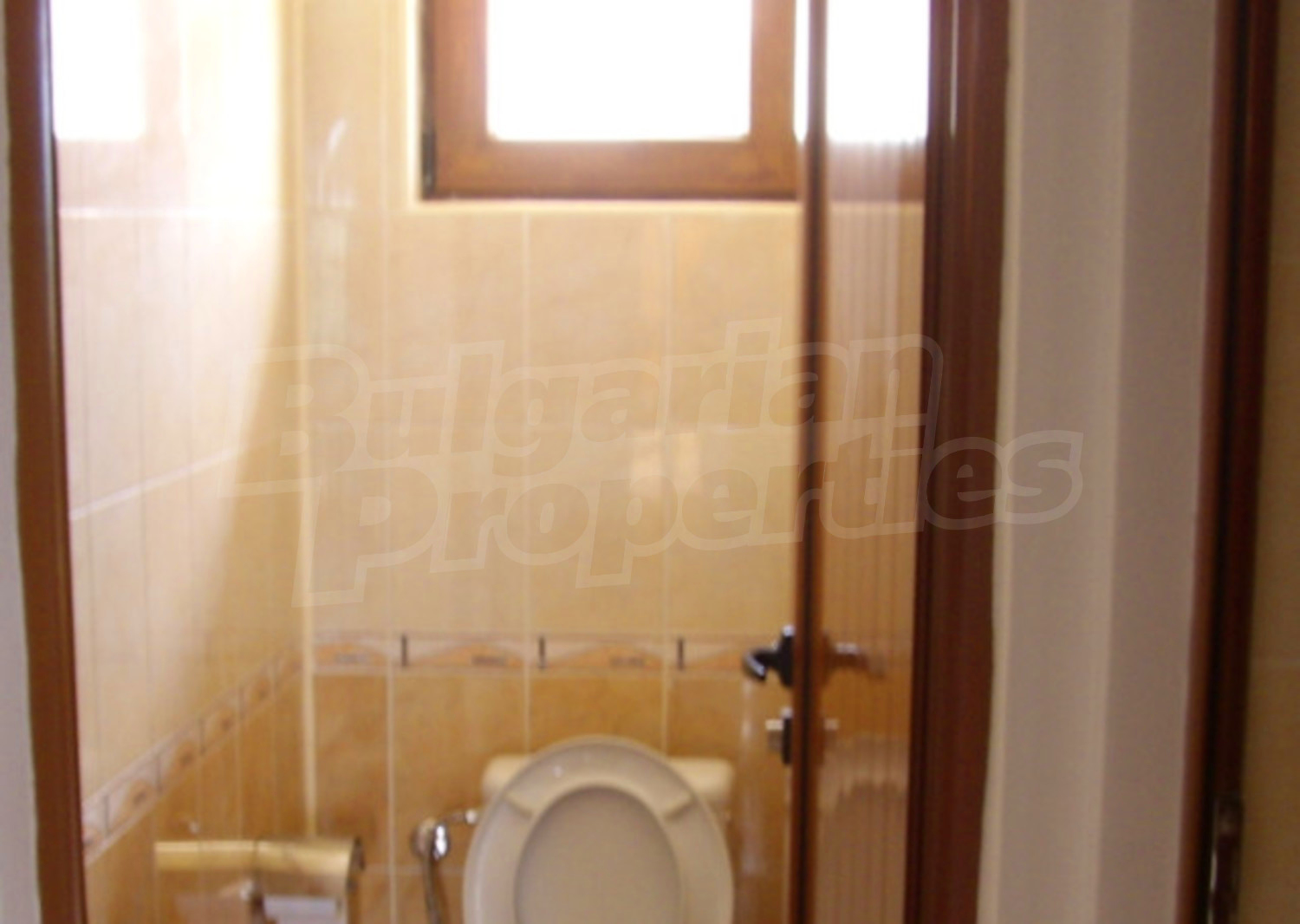 Gallery Picture 23