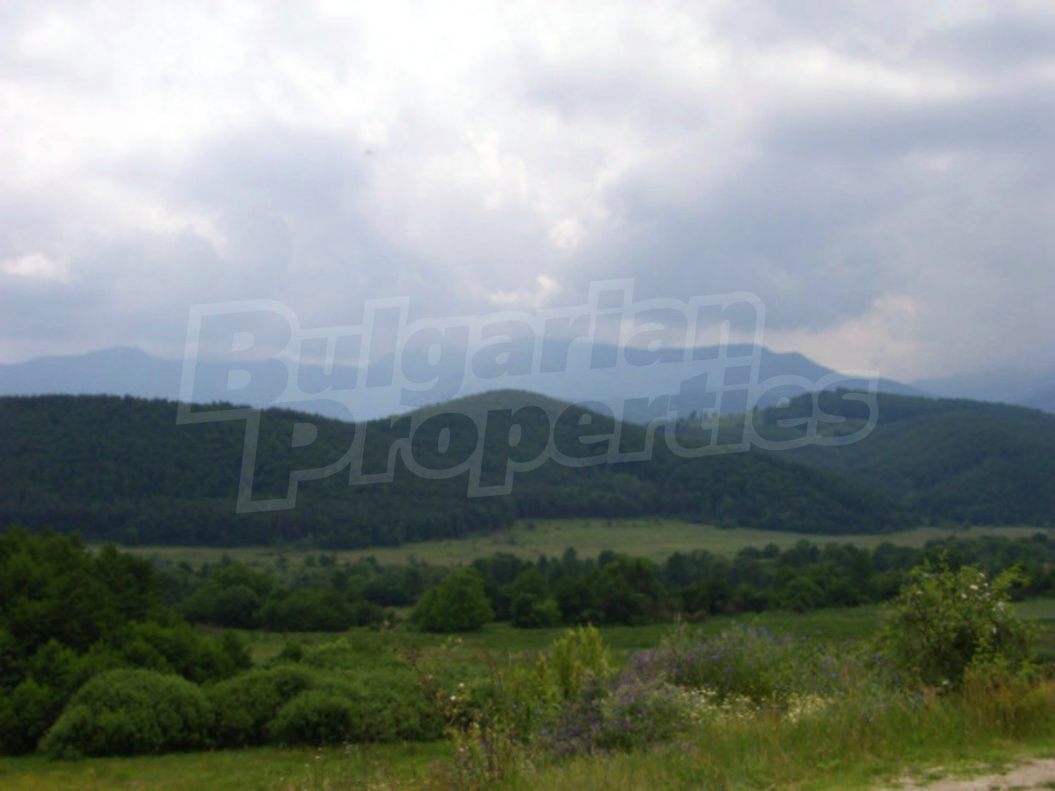 Gallery Picture 36