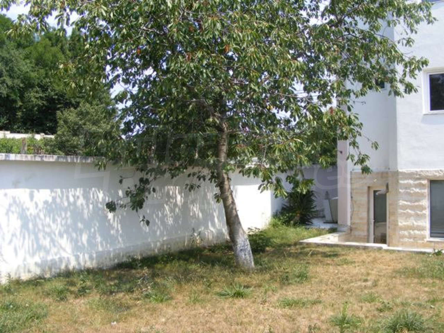 Gallery Picture 12