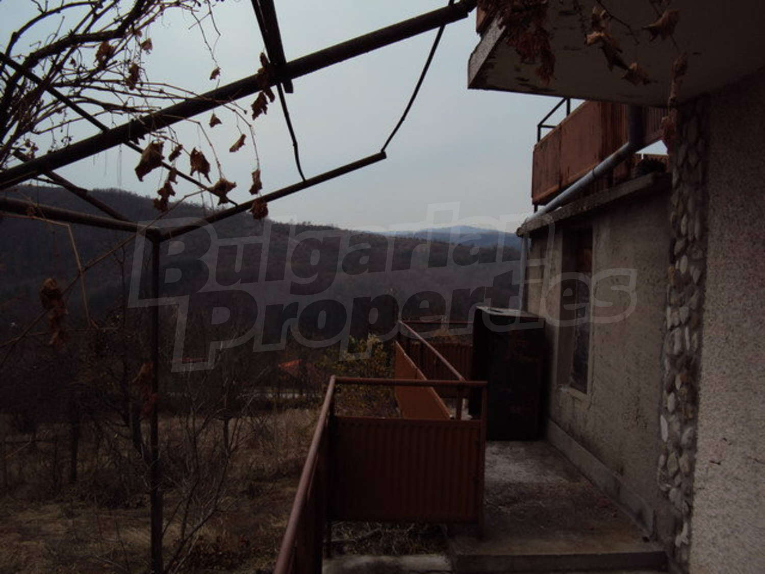 Gallery Picture 31