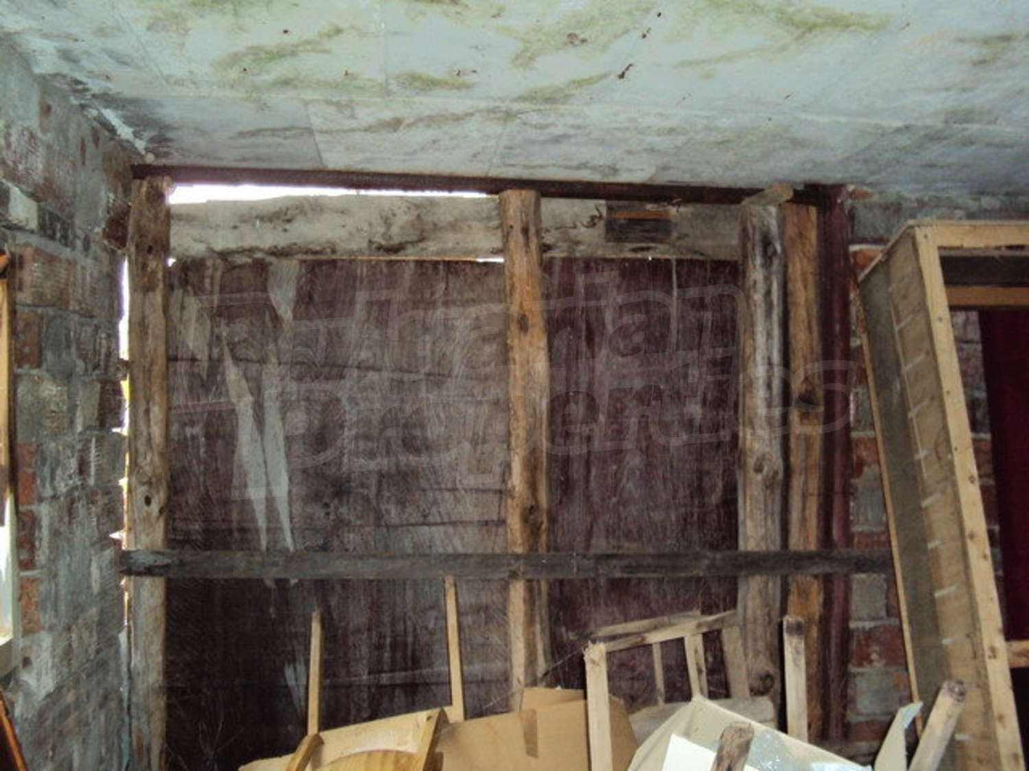 Gallery Picture 37