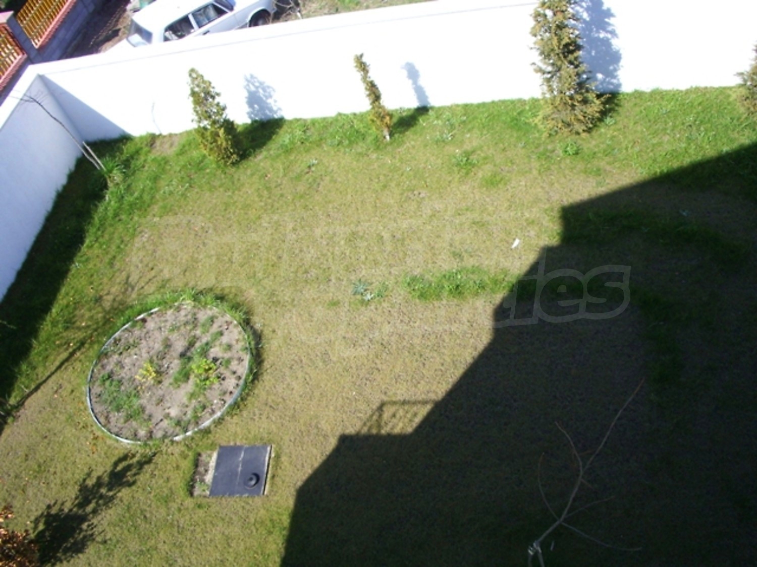 Gallery Picture 13