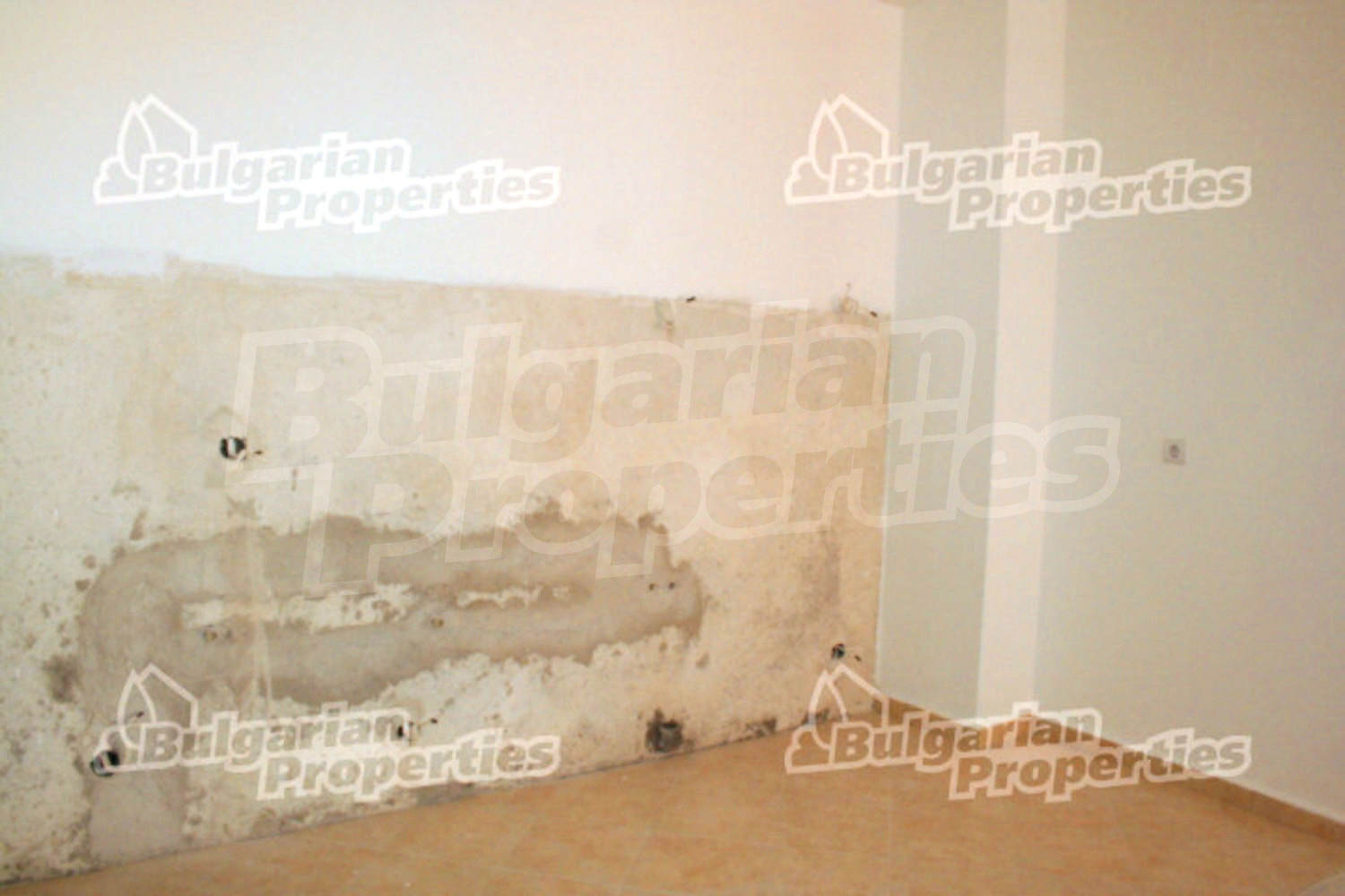 Gallery Picture 3