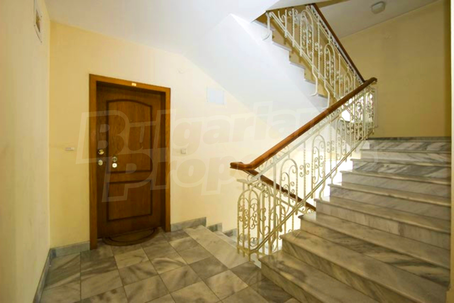 Gallery Picture 16