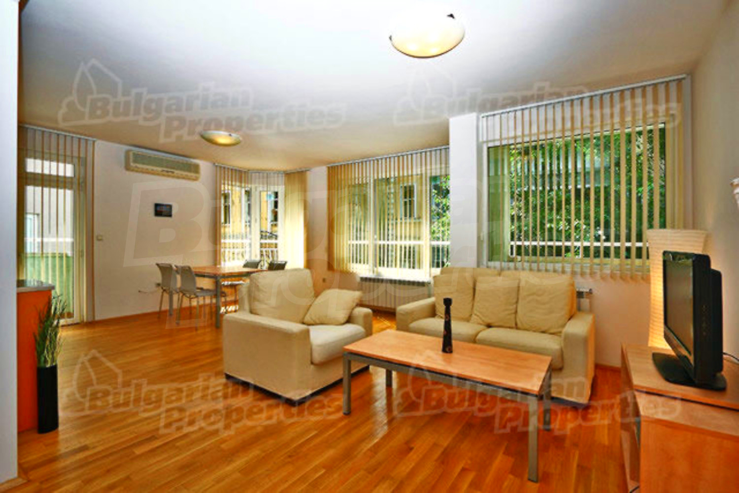 Gallery Picture 7