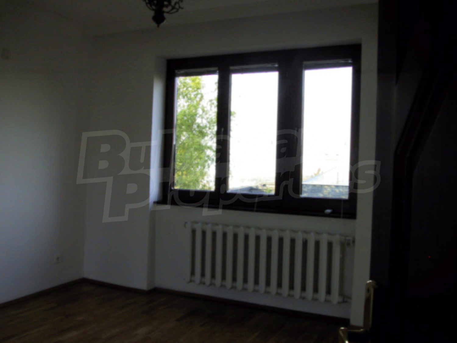 Gallery Picture 13