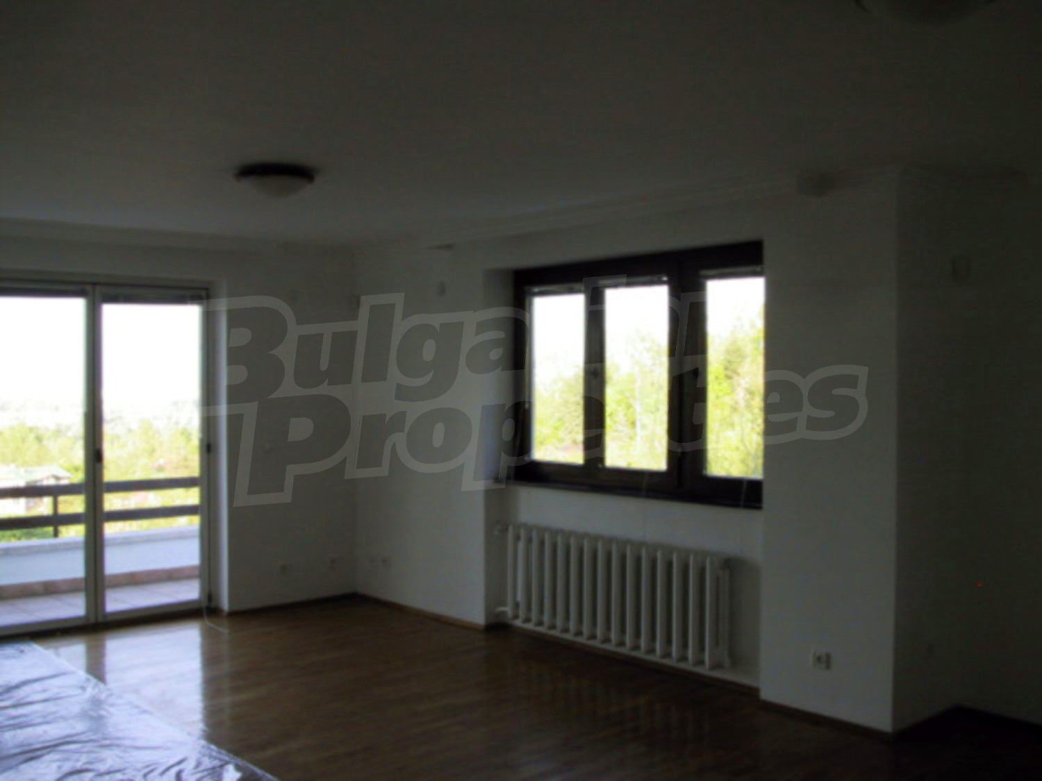 Gallery Picture 19