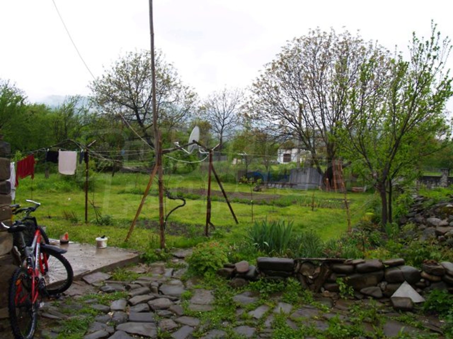 Gallery Picture 4