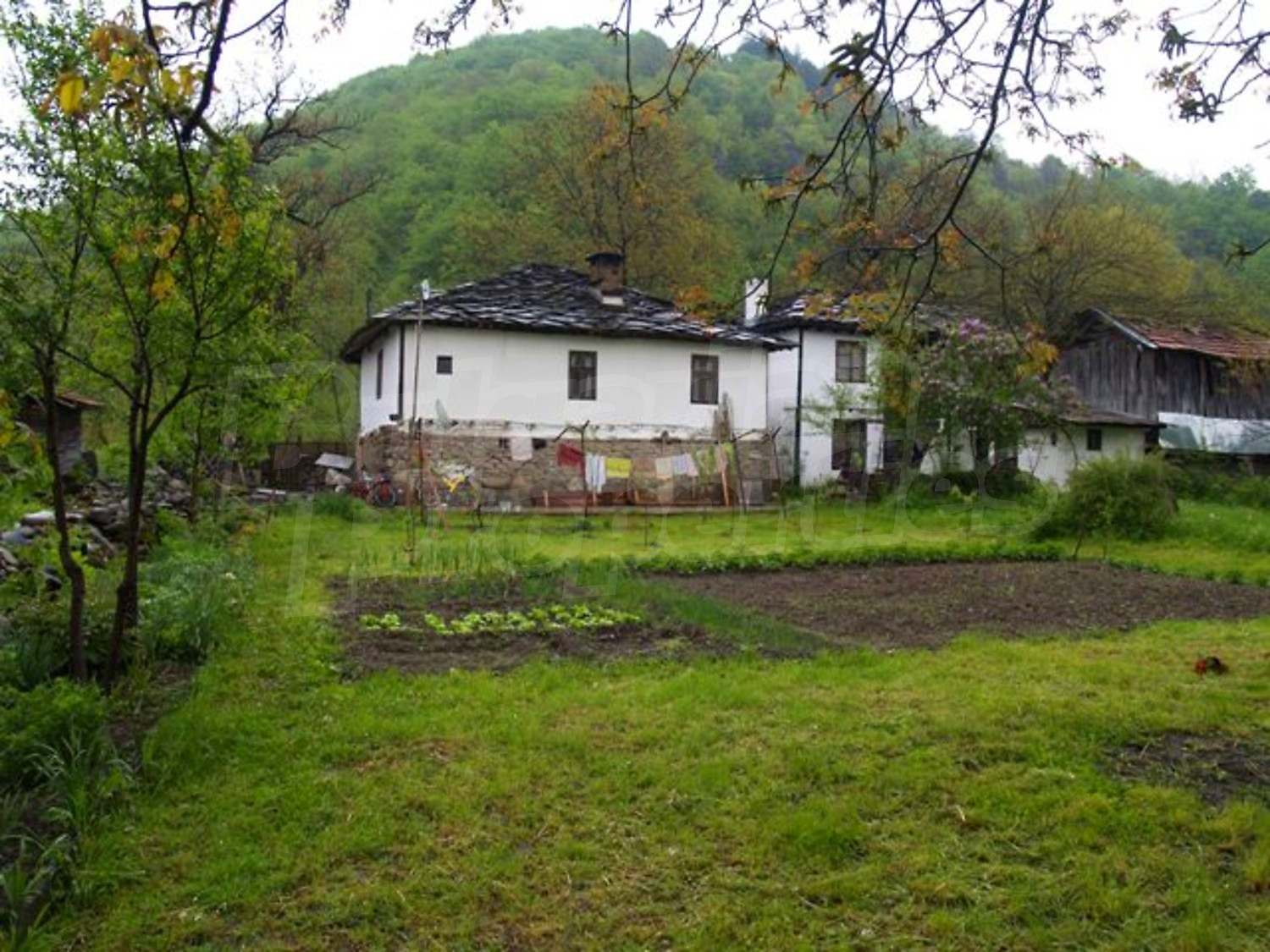 Gallery Picture 5