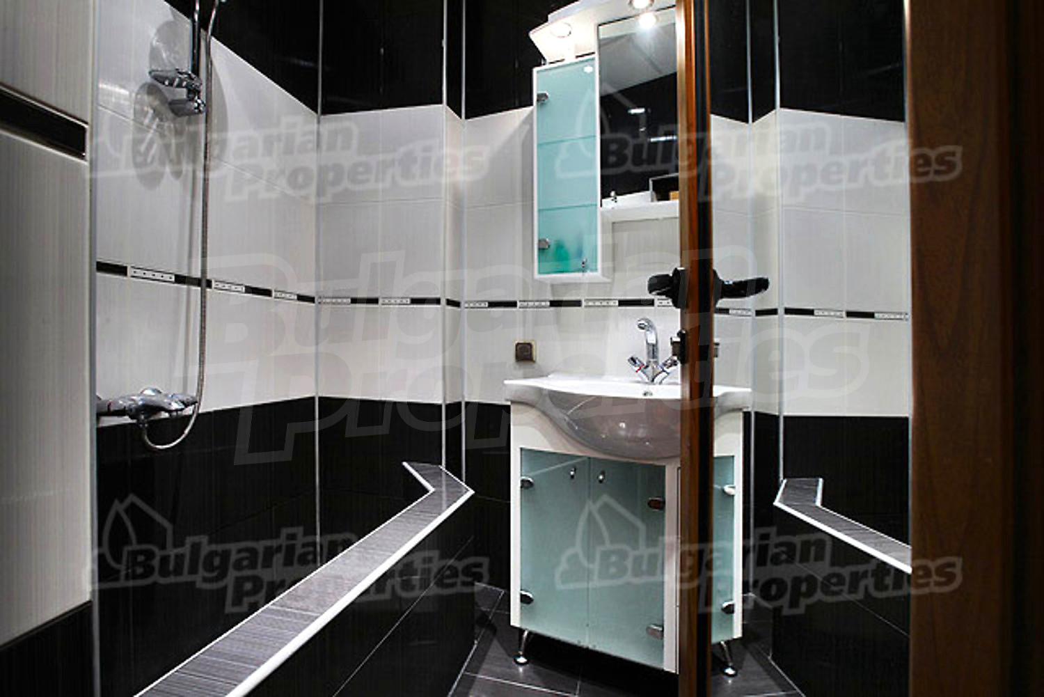 Gallery Picture 11