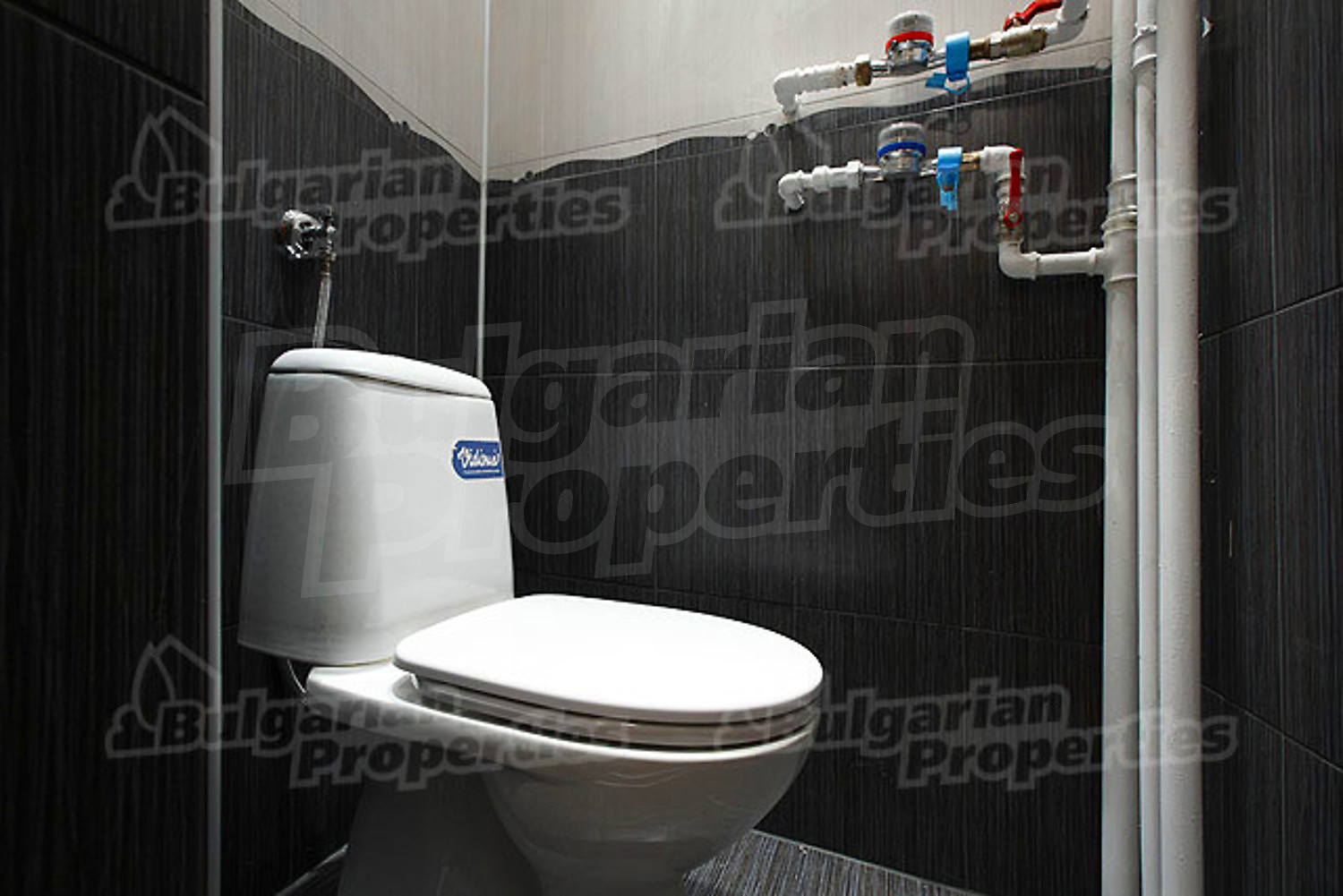 Gallery Picture 12